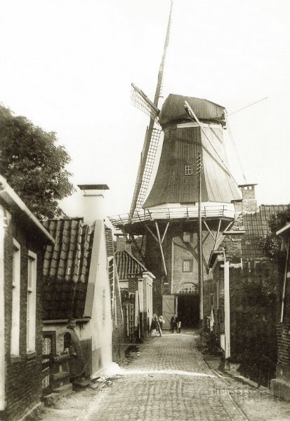 Delfzijl Molen Adam.jpg